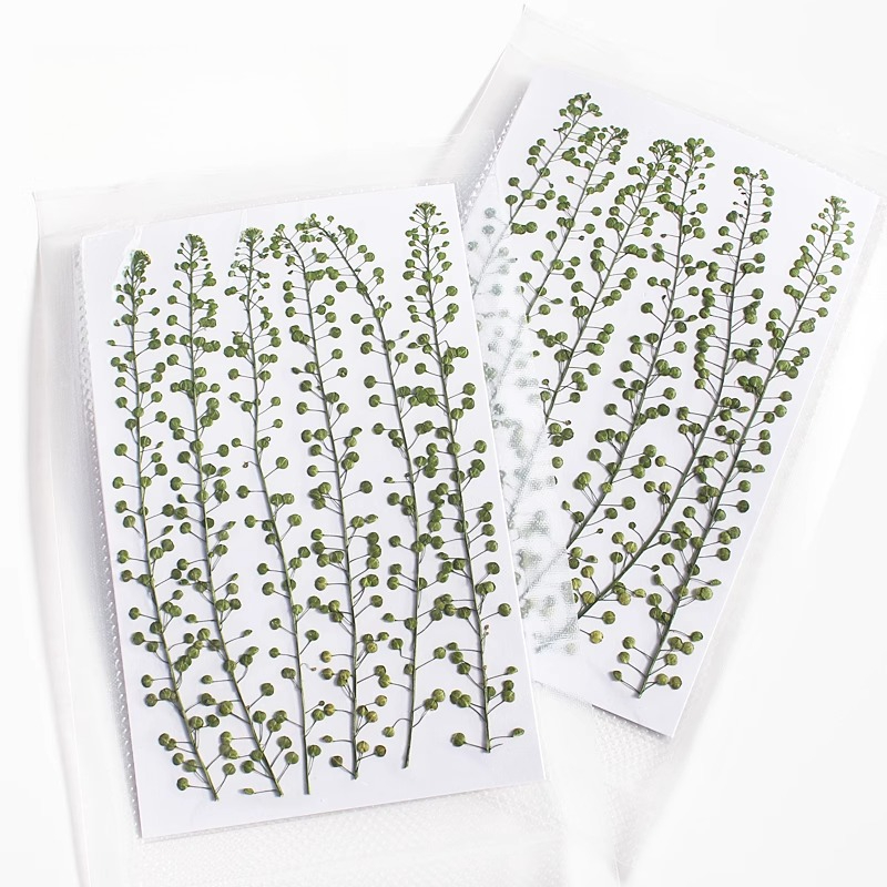 Naturalny kolor zielony, suszo – Resin Craft Ideas recenzja i cena