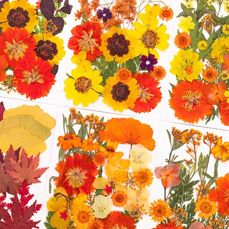 Suszony prasowany kwiat do for – Resin Craft Ideas recenzja i cena