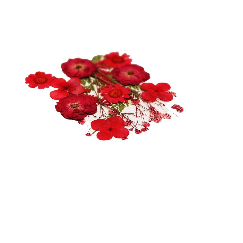 Prawdziwe naturalne suszone kw – Resin Craft Ideas recenzja i cena